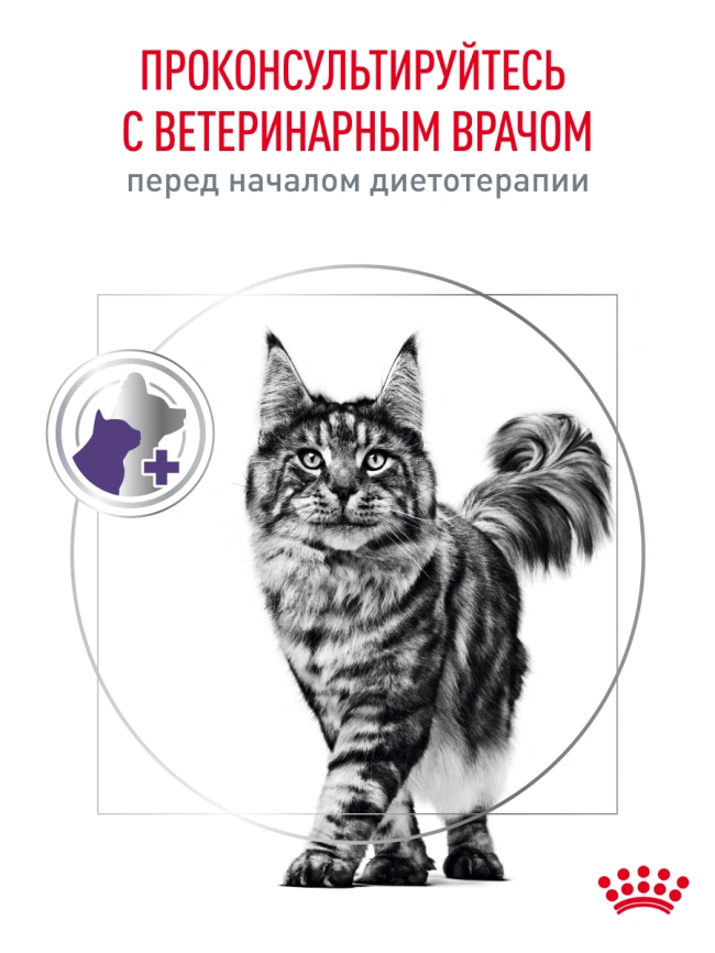 Сухой корм Royal Canin Neutered Satiety Balance для кастрированных котов и стерилизованных кошек до 7 лет, 1.5 кг фото 22