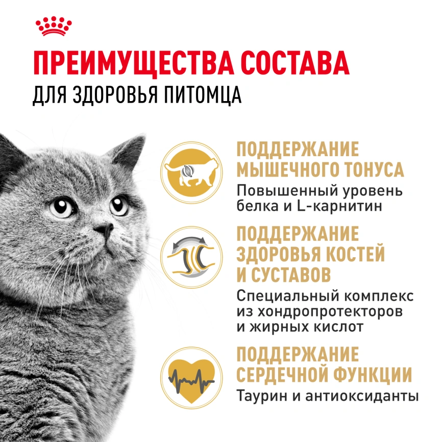 Сухой корм Royal Canin British Shorthair для кошек породы британская короткошерстная, 4 кг фото 3