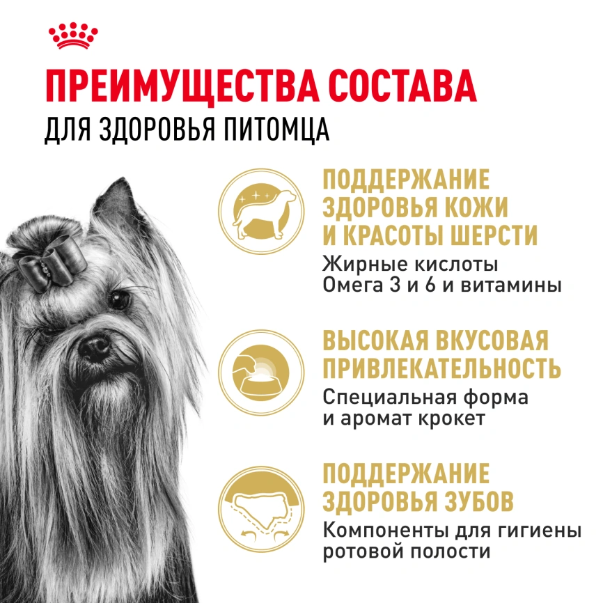 Сухой корм Royal Canin Yorkshire Terrier Adult для взрослых собак, 500 г фото 3