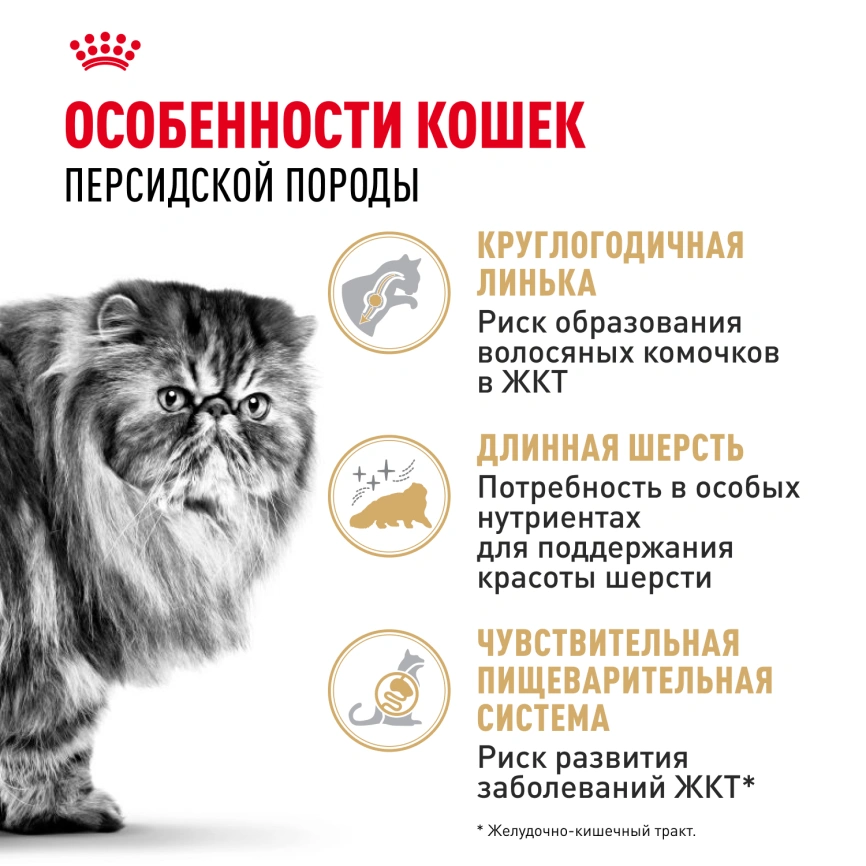 Сухой корм Royal Canin Persian для кошек персидской породы, 4 кг фото 2