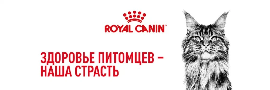 Сухой корм Royal Canin British Shorthair для кошек породы британская короткошерстная, 400 г фото 19