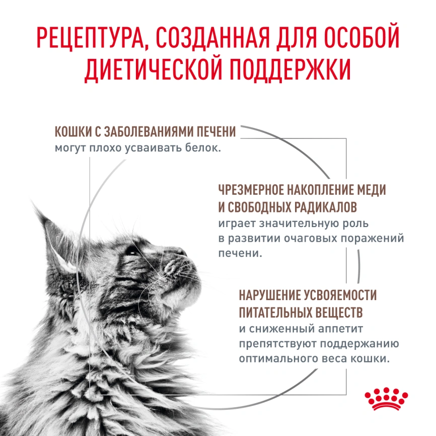 Сухой корм Royal Canin Hepatic для кошек, 350 г фото 3