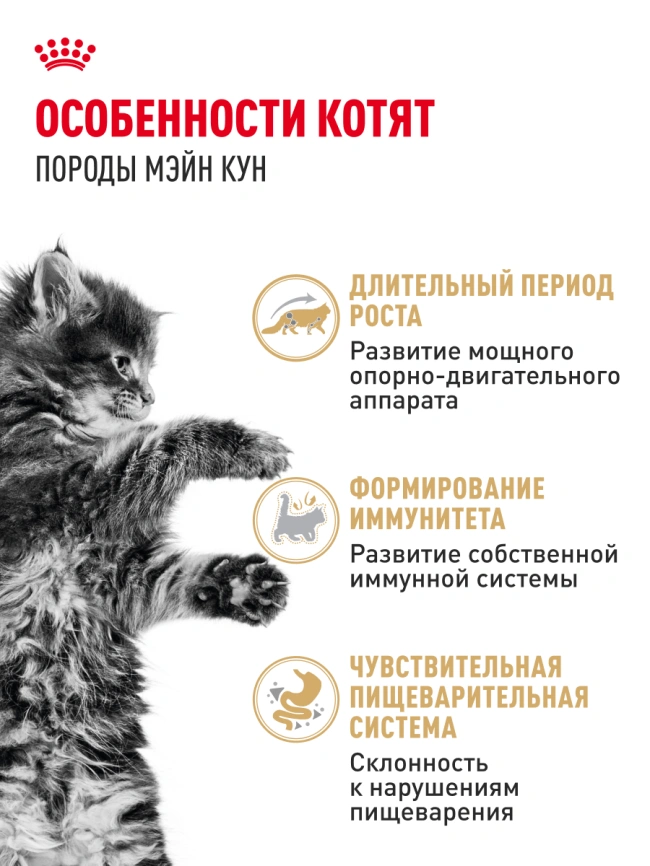 Влажный корм Royal Canin Maine Coon Kitten в соусе для котят породы мейн-кун и других крупных пород старше 3 месяцев, пауч, 85 г фото 16