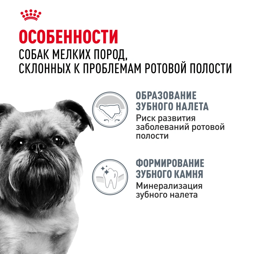 Сухой корм Royal Canin Mini Dental Care для собак, 1 кг фото 2