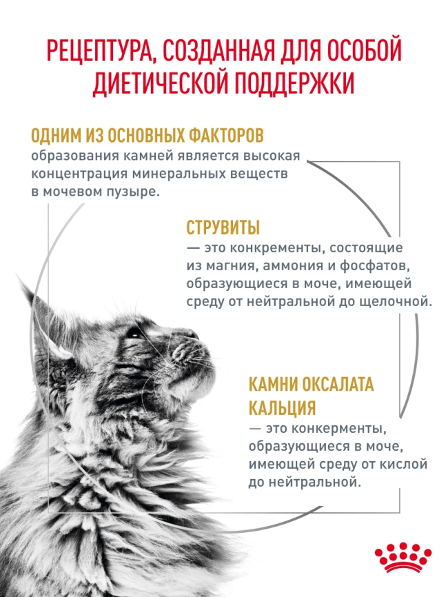 Сухой корм Royal Canin Urinary S/O для кошек при мочекаменной болезни, 350 г фото 20