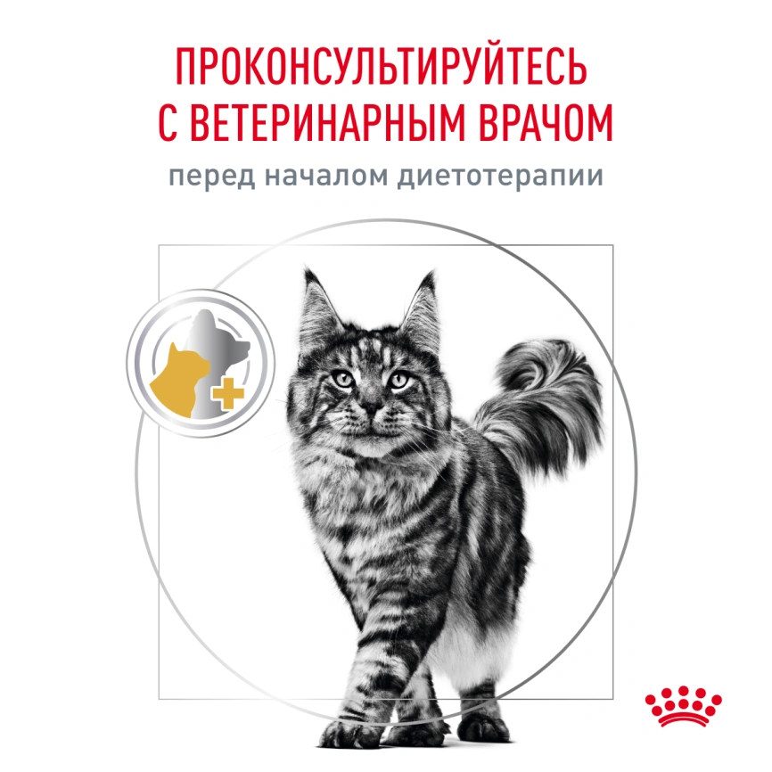 Сухой корм Royal Canin Urinary S/O для кошек при мочекаменной болезни, 1.5 кг фото 9