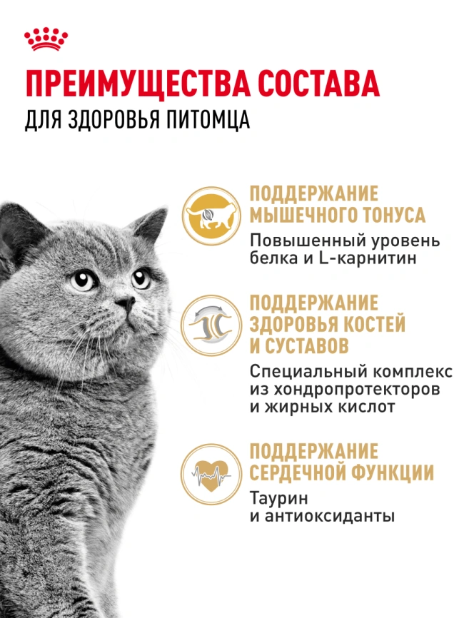 Сухой корм Royal Canin British Shorthair для кошек породы британская короткошерстная, 400 г фото 30