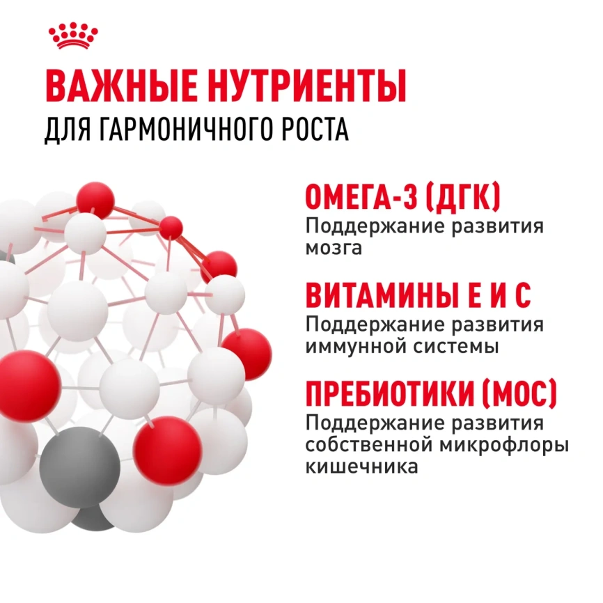 Влажный корм Royal Canin Maxi Puppy для щенков крупных пород в соусе, 100 г фото 4