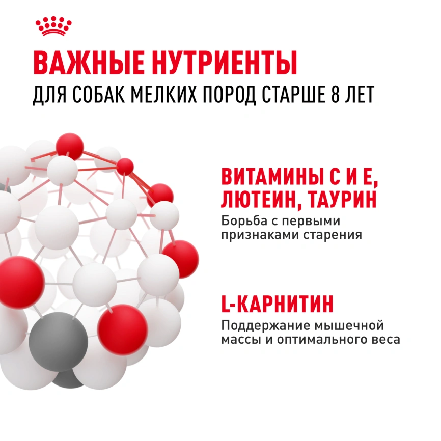 Сухой корм Royal Canin Mini Adult 8+ для пожилых собак, 4 кг фото 5