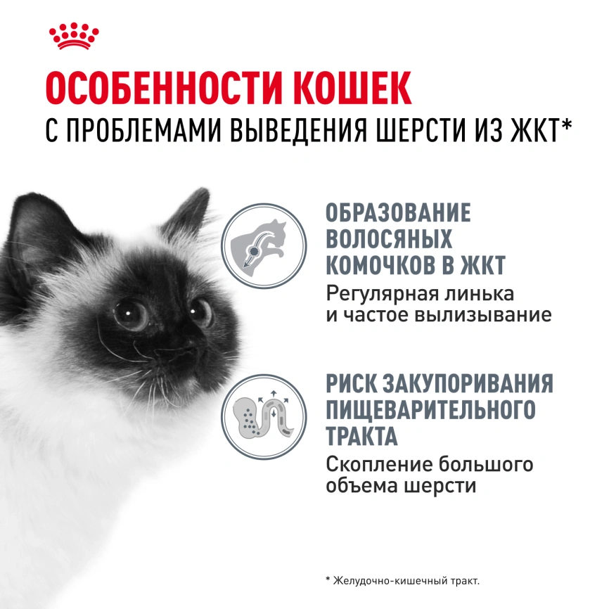 Сухой корм Royal Canin Hairball Care для кошек, 2 кг фото 2