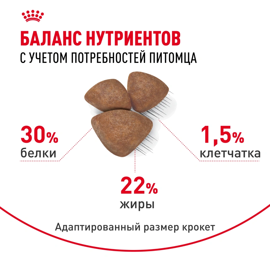 Сухой корм Royal Canin Mini Starter Mother & Babydog для щенков и кормящих сук, 3 кг фото 5