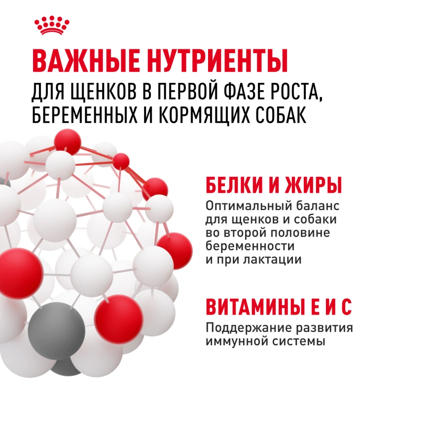 Сухой корм Royal Canin Mini Starter Mother & Babydog для щенков и кормящих сук, 1 кг фото 5