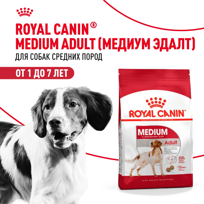 Сухой корм Royal Canin Medium Adult для собак, 15 кг фото 12