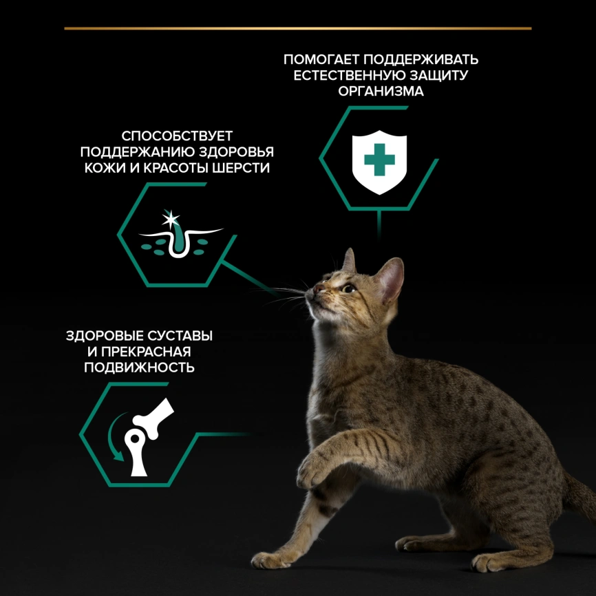 Влажный корм Purina Pro Plan Maintenance для взрослых кошек, с индейкой в желе, 85 г фото 2