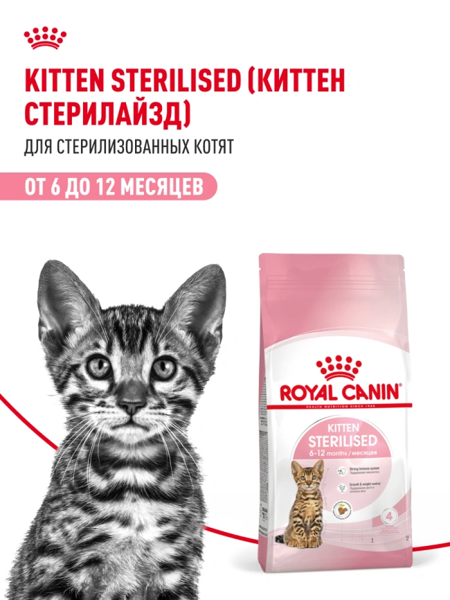 Сухой корм Royal Canin Kitten Sterilised для котят, 2 кг фото 19