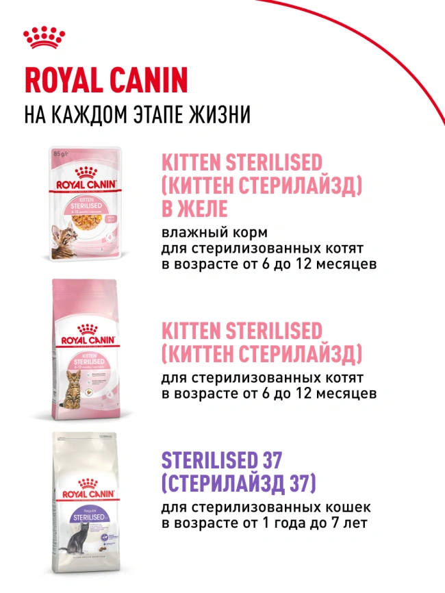 Влажный корм Royal Canin Kitten в соусе для котят до 12 месяцев, пауч, 85 г фото 21