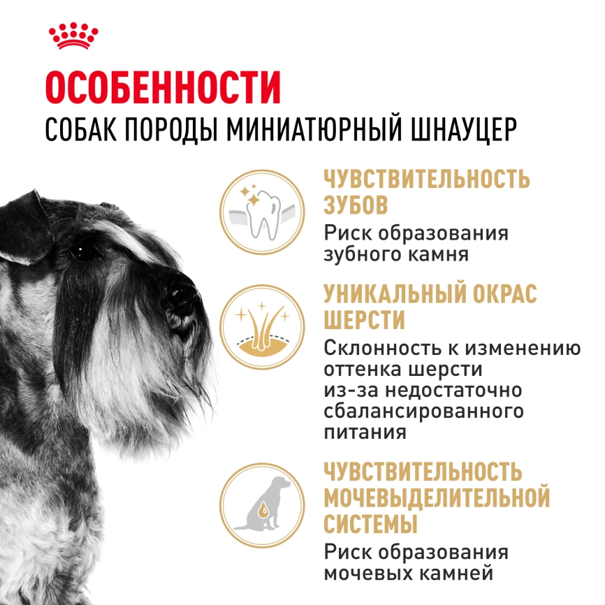 Сухой корм Royal Canin Miniature Schnauzer Adult для собак породы миниатюрный шнауцер, 7.5 кг фото 2