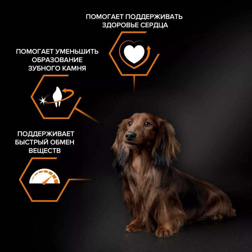 Сухой корм Purina Pro Plan Adult Small & Mini Chicken & Rice для взрослых собак мелких и карликовых пород, с курицей и рисом, 7 кг фото 2