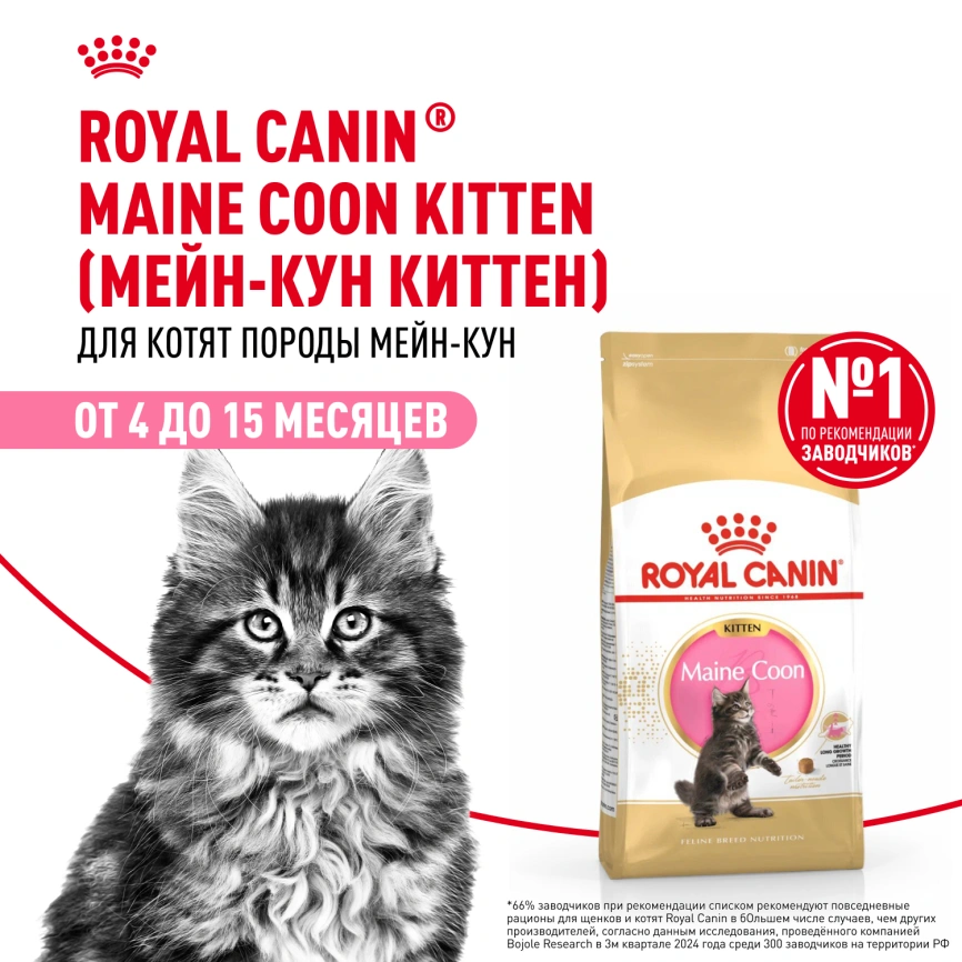 Сухой корм Royal Canin Kitten Maine Coon для котят, 4 кг фото 13