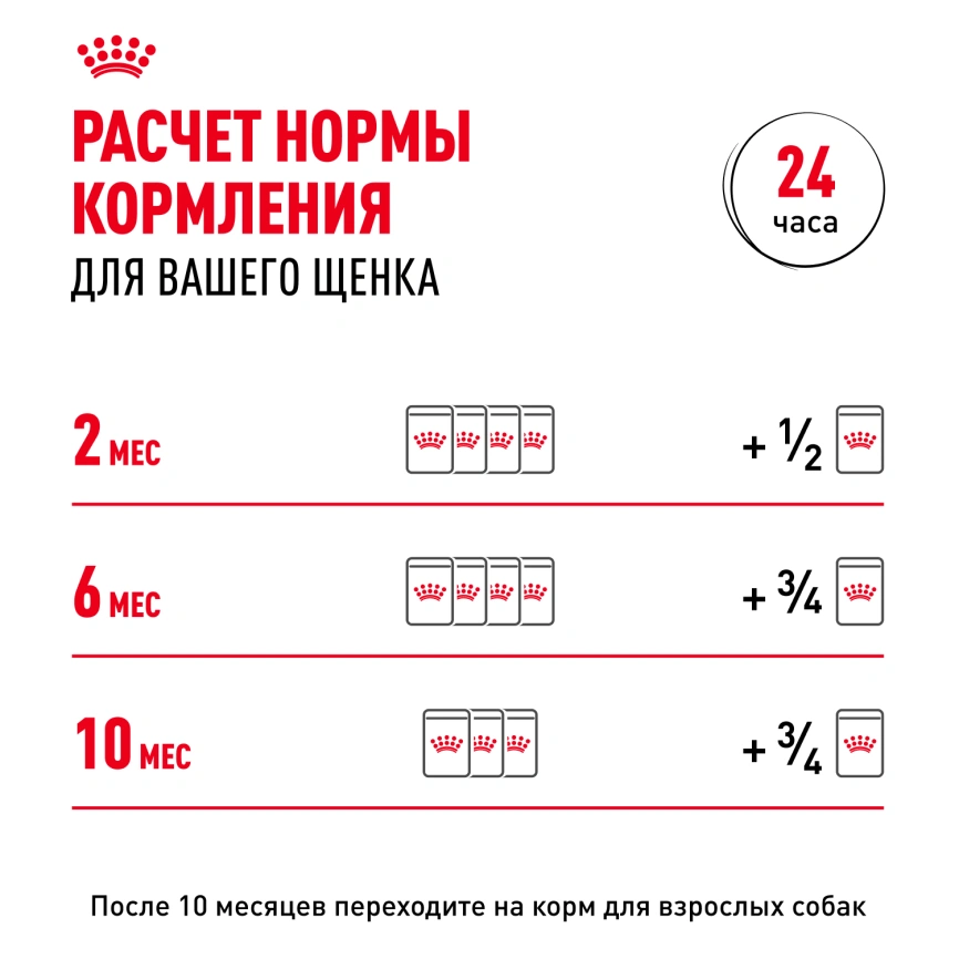 Влажный корм Royal Canin Mini Puppy в соусе для щенков мелких пород до 10 месяцев, пауч, 85 г фото 12