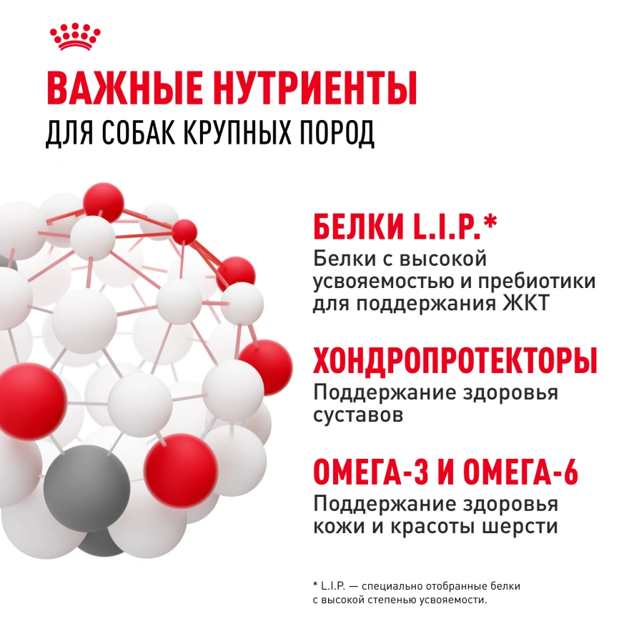 Сухой корм Royal Canin Maxi Adult для собак, 3 кг фото 5