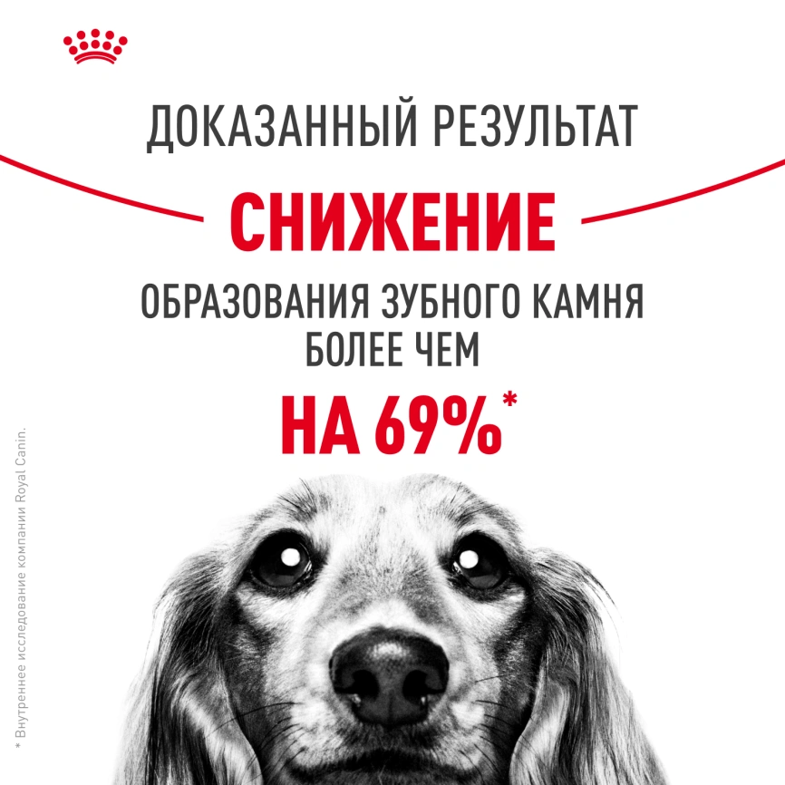 Сухой корм Royal Canin Mini Dental Care для собак, 1 кг фото 11