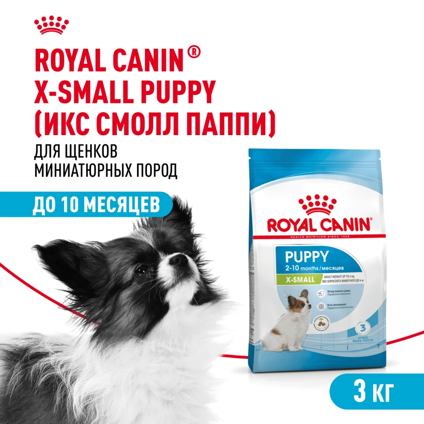 Сухой корм Royal Canin X-Small Puppy для щенков, 3 кг фото 1