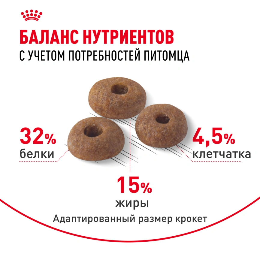 Сухой корм Royal Canin Fit для кошек, 400 г фото 4