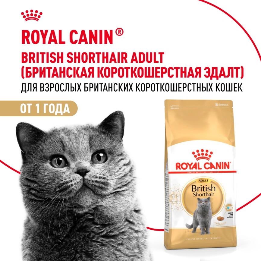 Сухой корм Royal Canin British Shorthair для кошек породы британская короткошерстная, 400 г фото 12