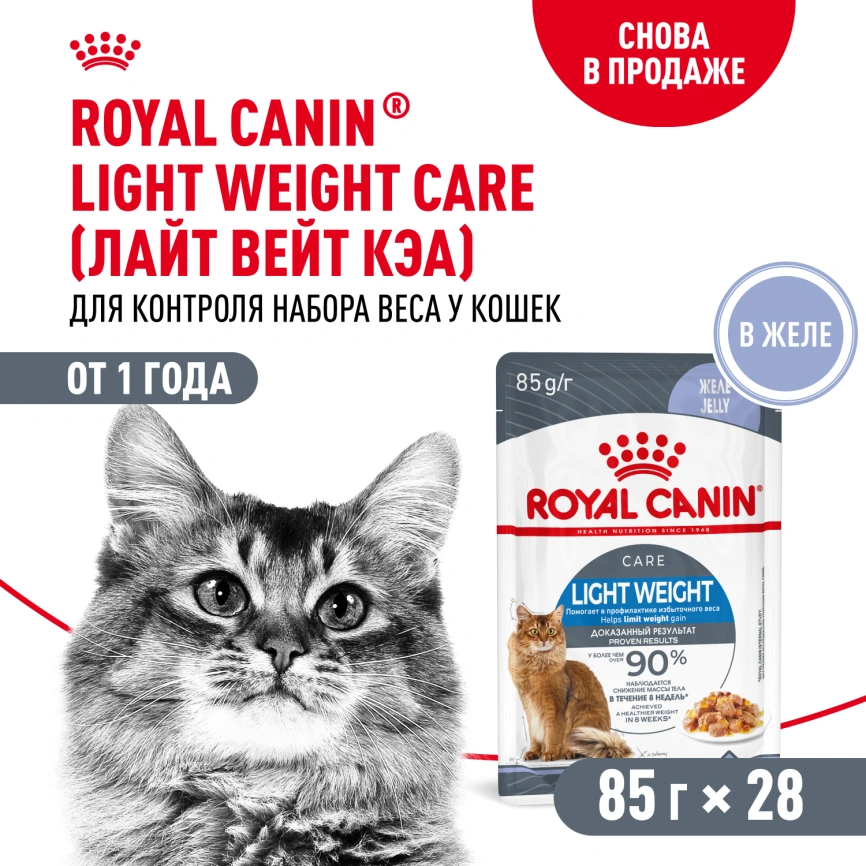 Влажный корм Royal Canin Light Weight Care в соусе для взрослых кошек, склонных к полноте, пауч, 85 г фото 13