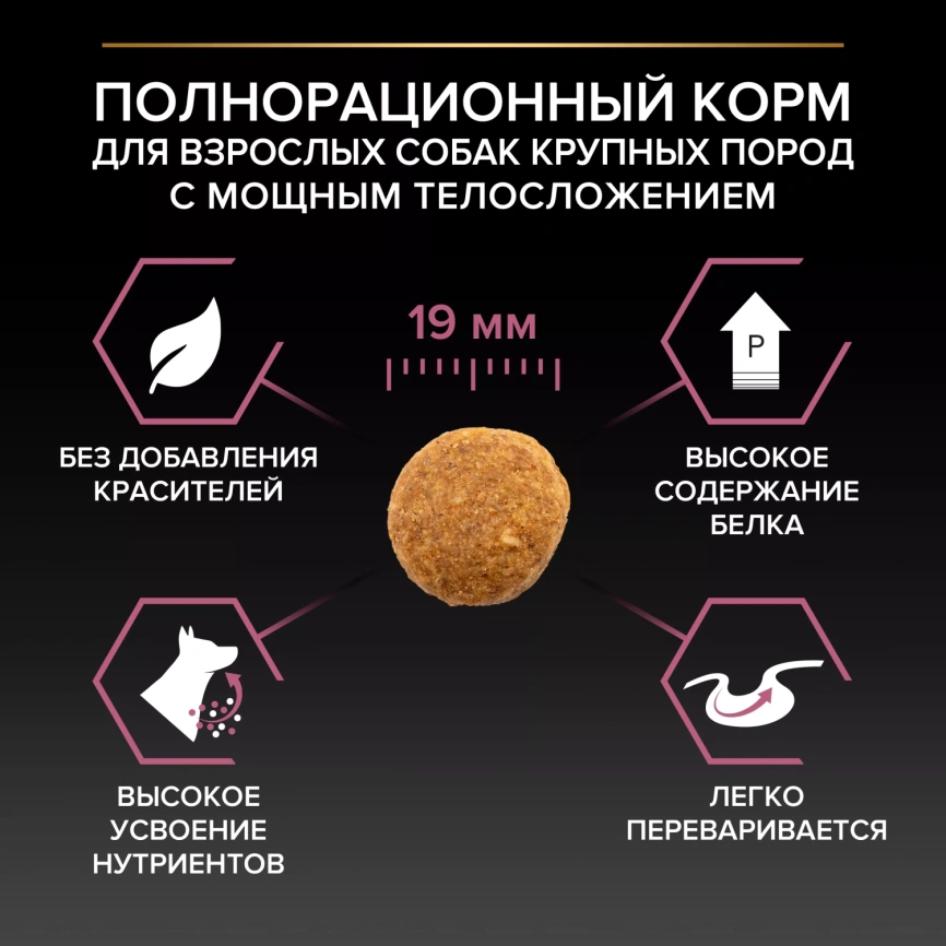 Сухой корм PRO PLAN Salmon для взрослых собак крупных пород с атлетическим телосложением с чувствительной кожей, с высоким содержанием лосося, 14 кг фото 3