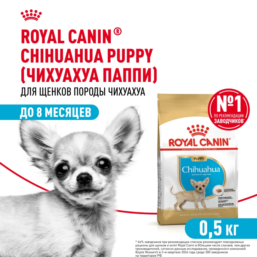 Сухой корм Royal Canin Chihuahua Puppy для щенков породы чихуахуа, 500 г фото 1