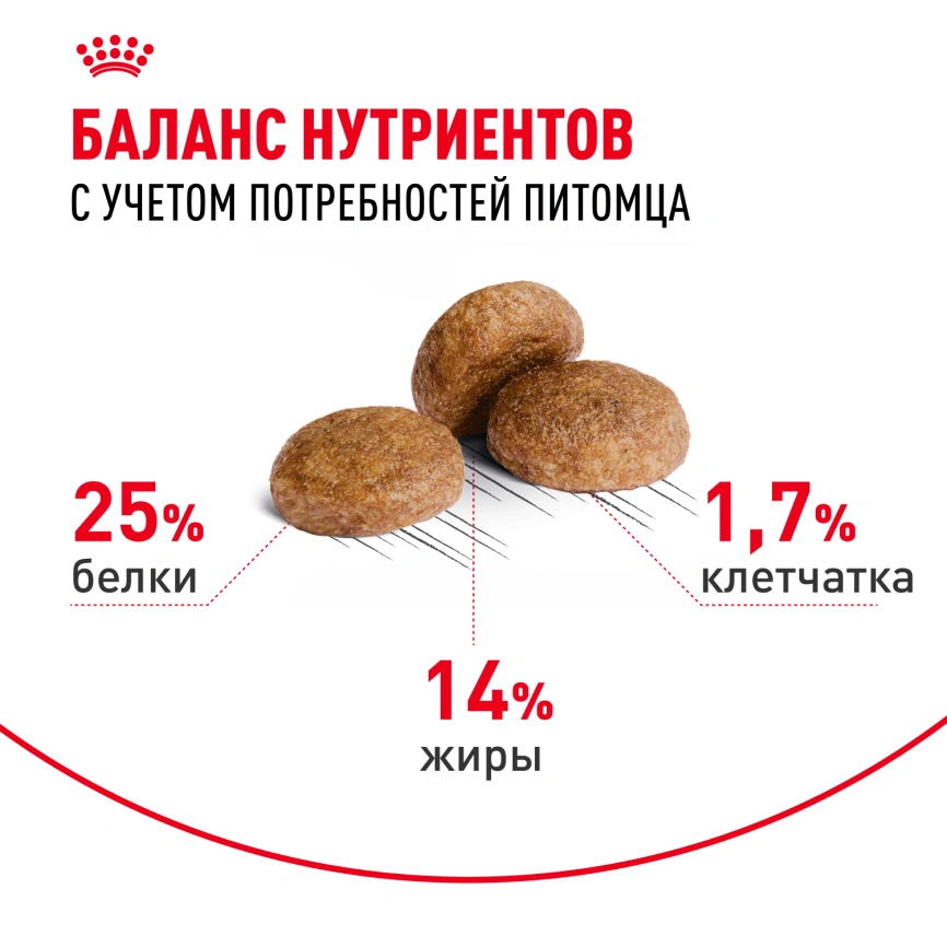 Сухой корм Royal Canin Medium Adult 7+ для собак, 15 кг фото 4