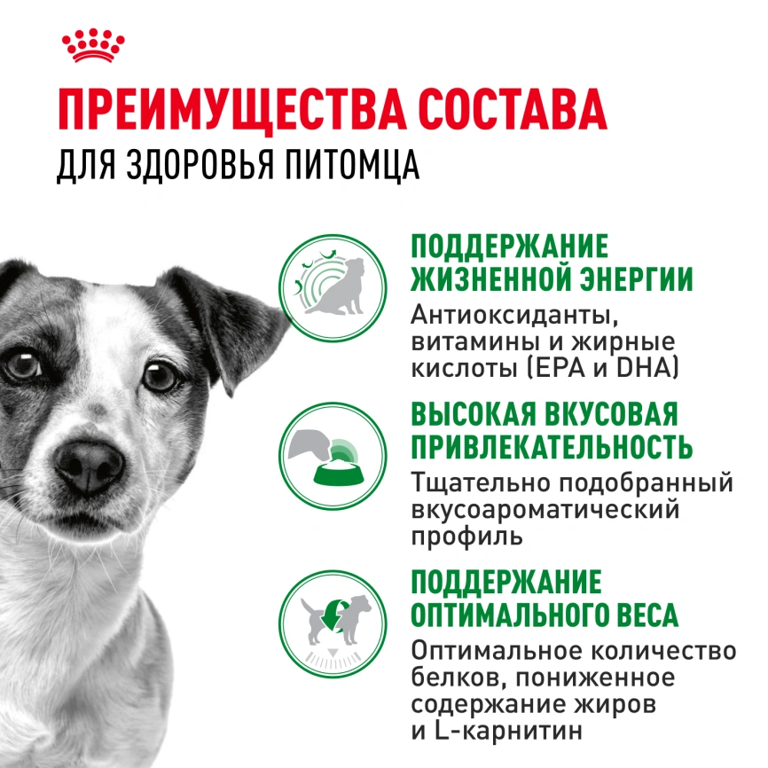 Сухой корм Royal Canin Mini Adult 8+ для пожилых собак, 2 кг фото 9
