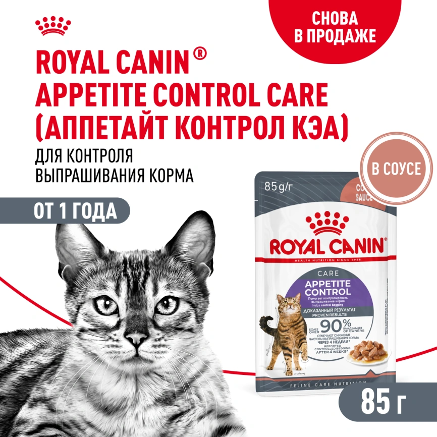 Влажный корм Royal Canin Appetite Control Care в соусе для взрослых кошек, для контроля выпрашивания корма, пауч, 85 г фото 1