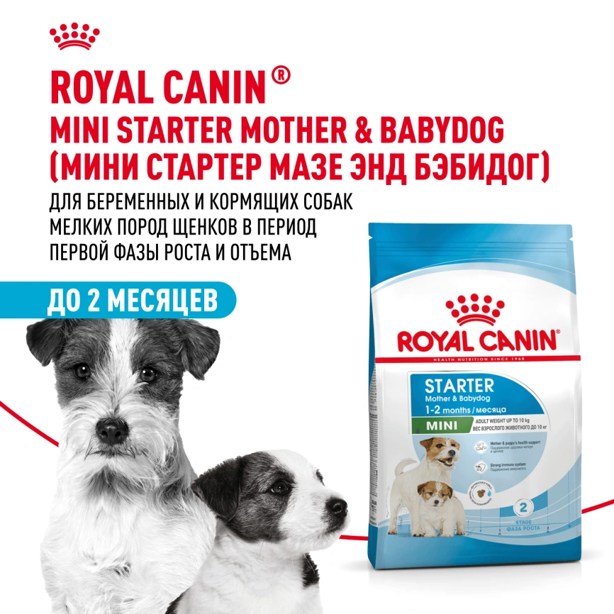 Сухой корм Royal Canin Mini Starter Mother & Babydog для щенков и кормящих сук, 3 кг фото 13