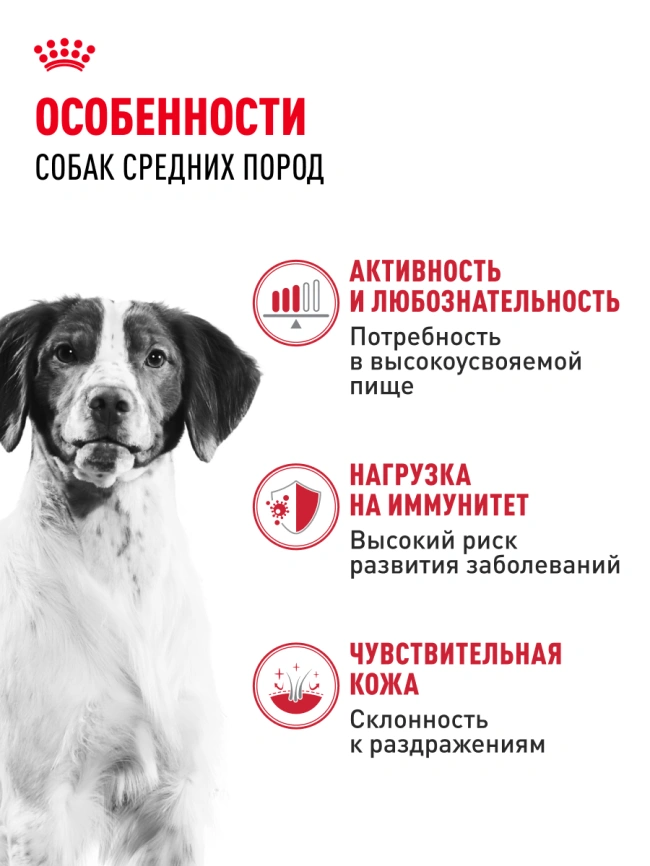 Сухой корм Royal Canin Medium Adult для собак, 3 кг фото 14