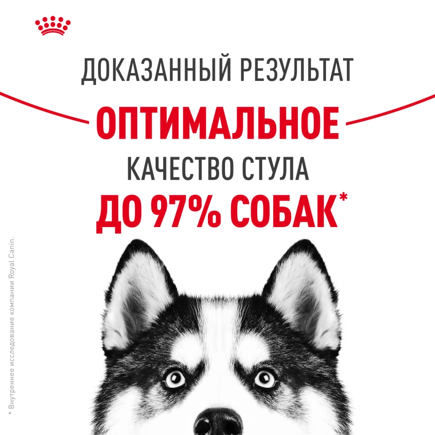 Сухой корм Royal Canin Maxi Digestive Care для собак, 3 кг фото 10