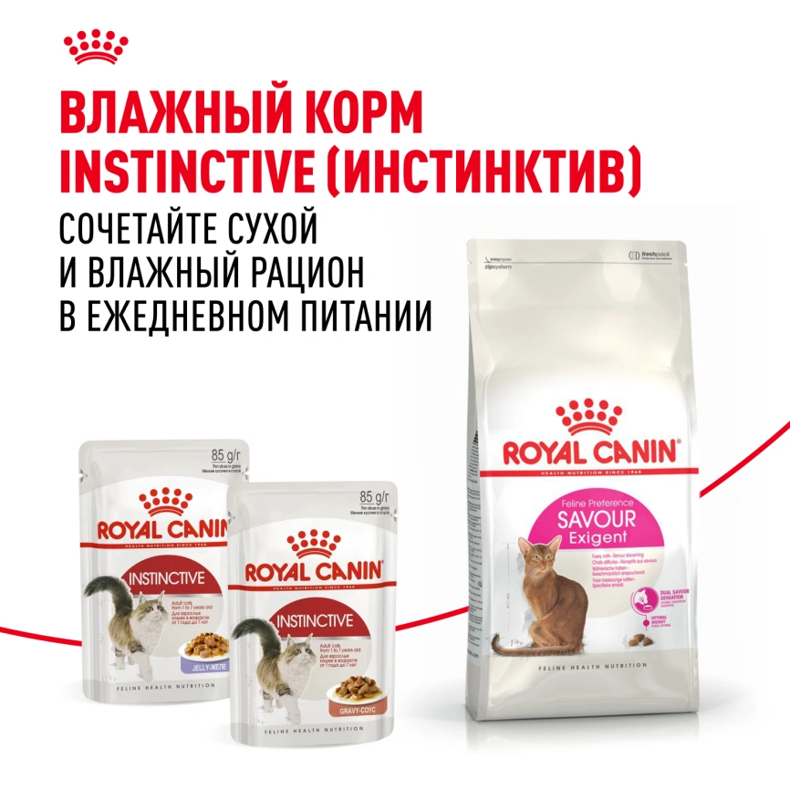 Сухой корм Royal Canin Savour Exigent для кошек, 10 кг фото 8