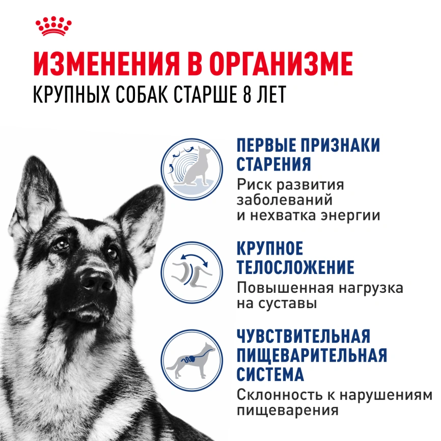 Сухой корм Royal Canin Maxi Ageing 8+ для собак, 3 кг фото 2