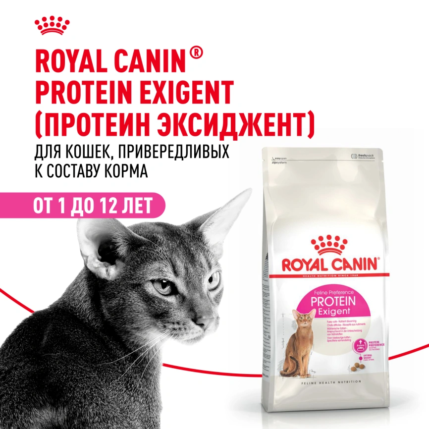 Сухой корм Royal Canin Protein Exigent для кошек фото 12