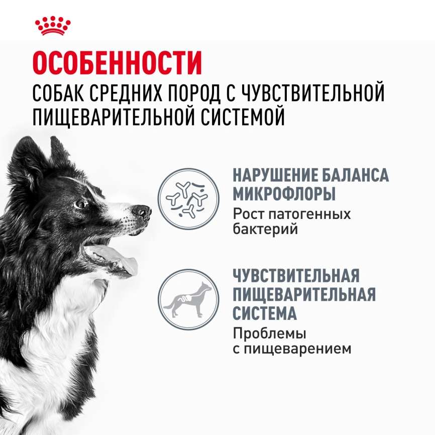 Сухой корм Royal Canin Medium Digestive Care для собак, 3 кг фото 2