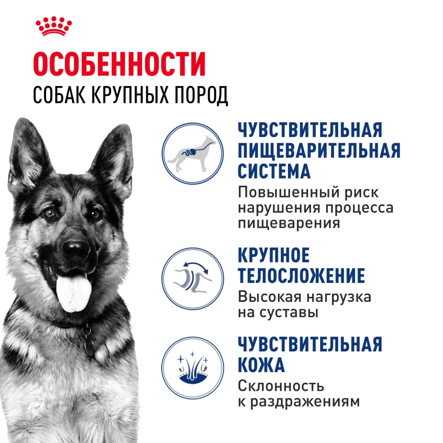 Сухой корм Royal Canin Maxi Adult для собак, 3 кг фото 2