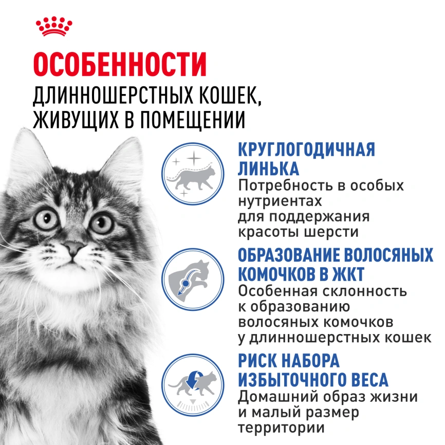 Сухой корм Royal Canin Indoor Long Hair для кошек, 10 кг фото 2