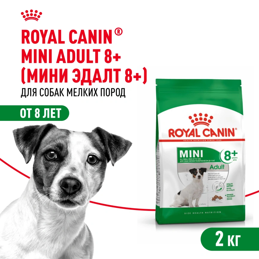 Сухой корм Royal Canin Mini Adult 8+ для пожилых собак, 2 кг фото 1