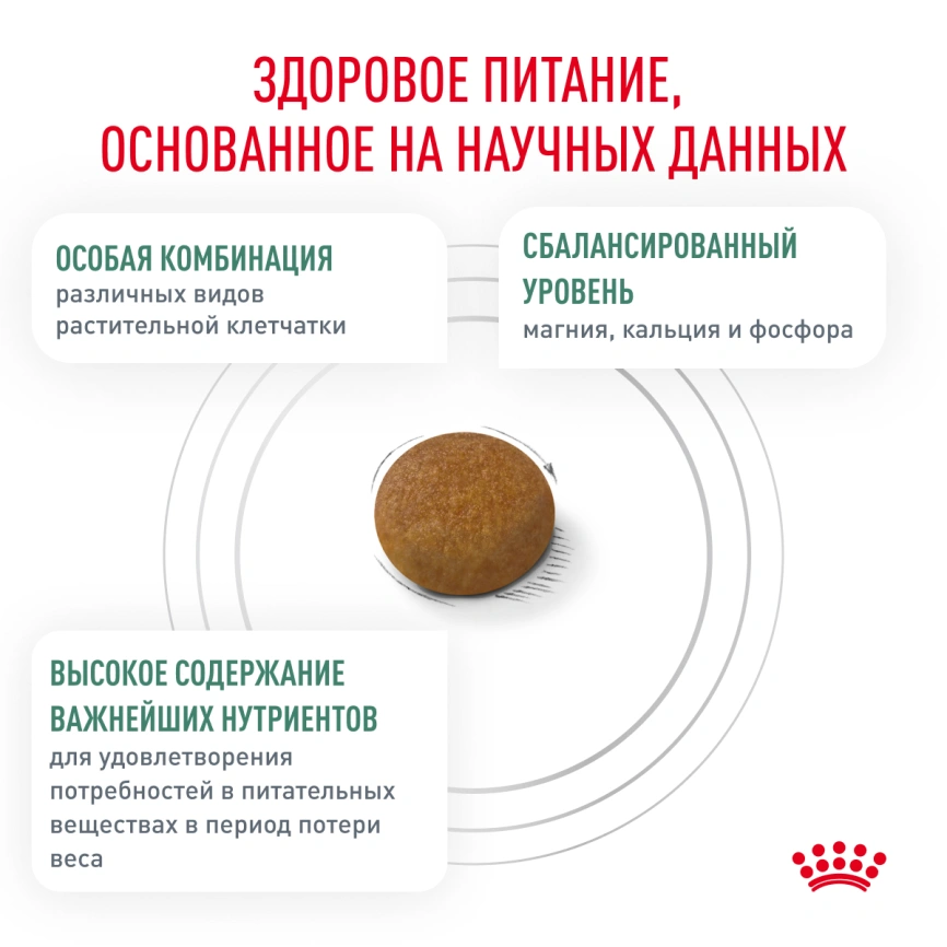 Сухой корм Royal Canin Satiety Small Dogs для собак мелких пород для снижение веса, 500 г фото 4
