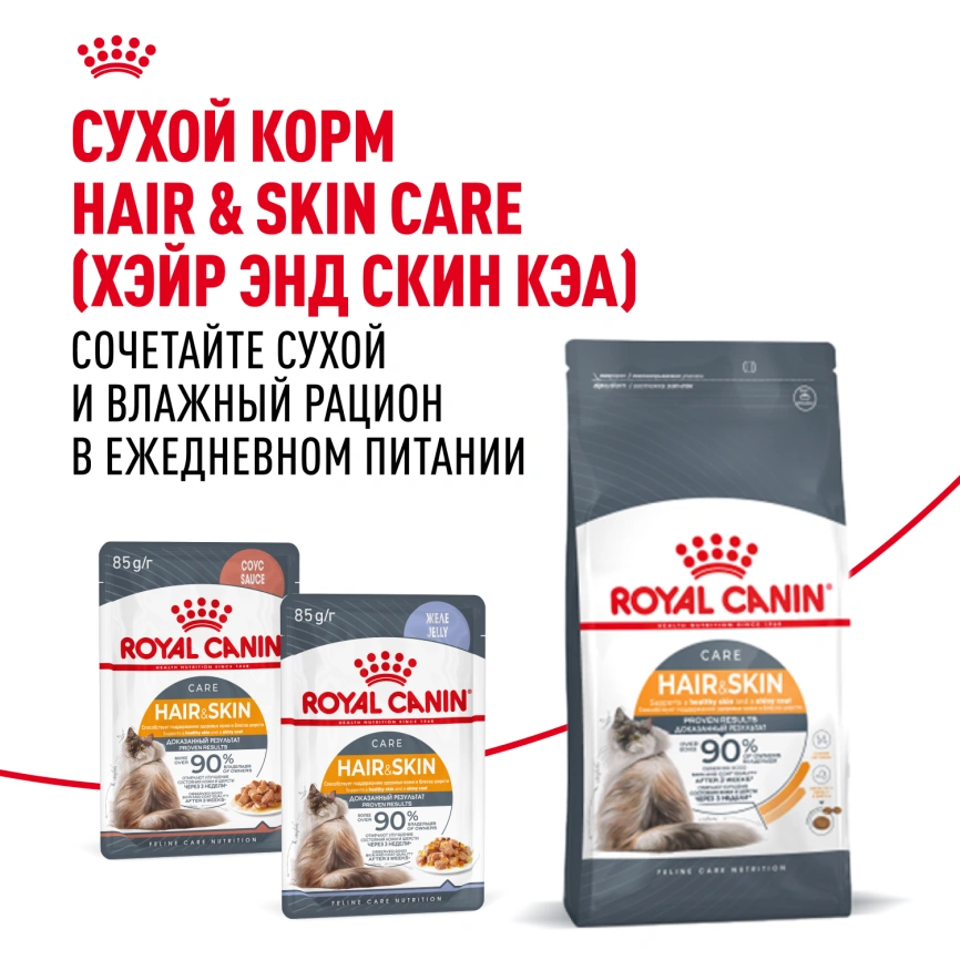 Влажный корм Royal Canin Hair & Skin Care в соусе для взрослых кошек старше 1 года, пауч, 85 г фото 12