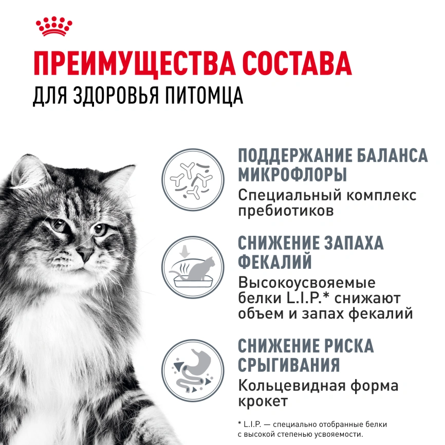 Сухой корм Royal Canin Digestive Care для кошек, 400 г фото 3