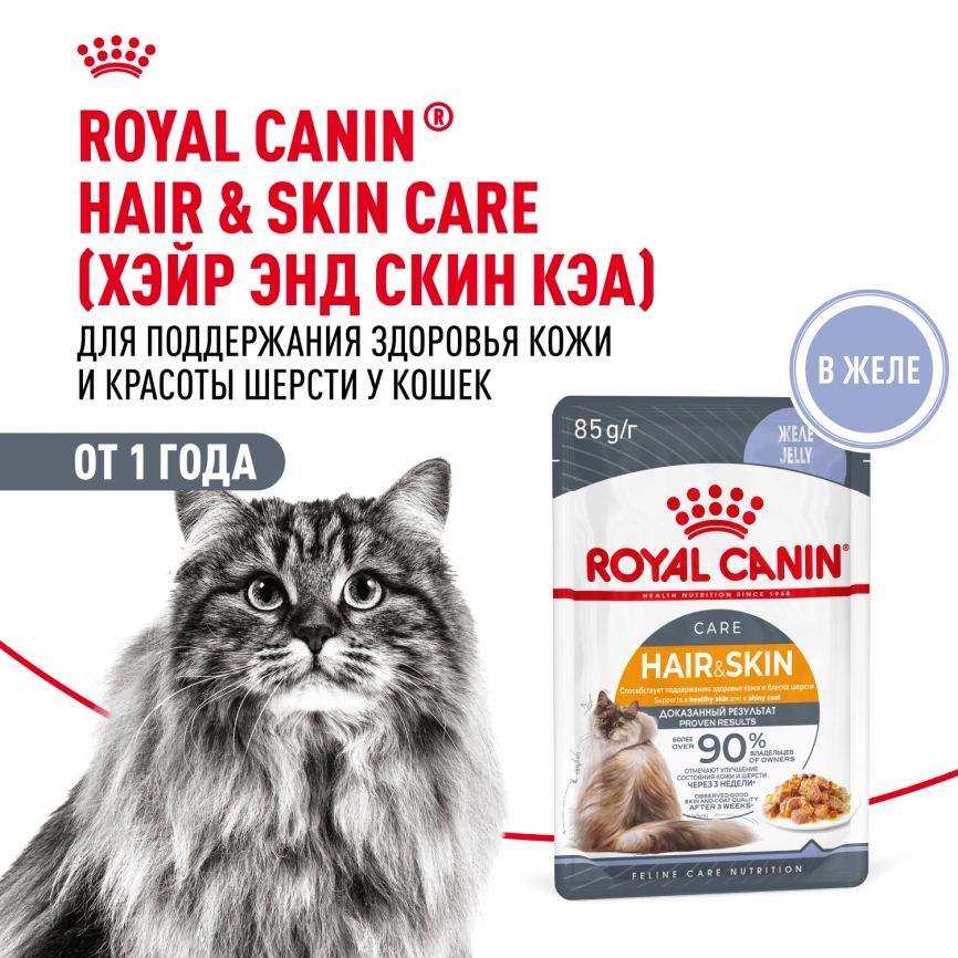 Влажный корм Royal Canin Hair & Skin Care в желе для взрослых кошек старше 1 года, пауч, 85 г фото 16