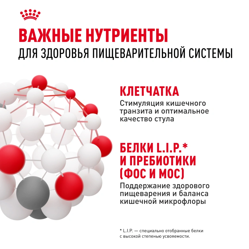Сухой корм Royal Canin Mini Digestive Care для собак, 1 кг фото 5